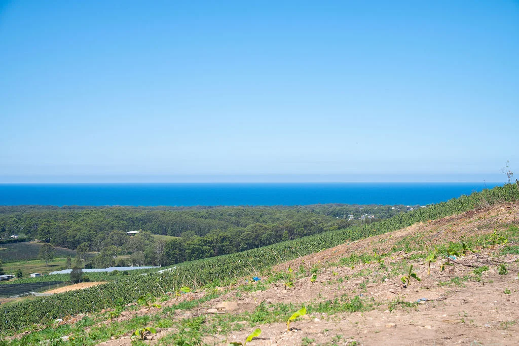 Additional image 6 of 50B Rickards Road, Sandy Beach NSW 2456
