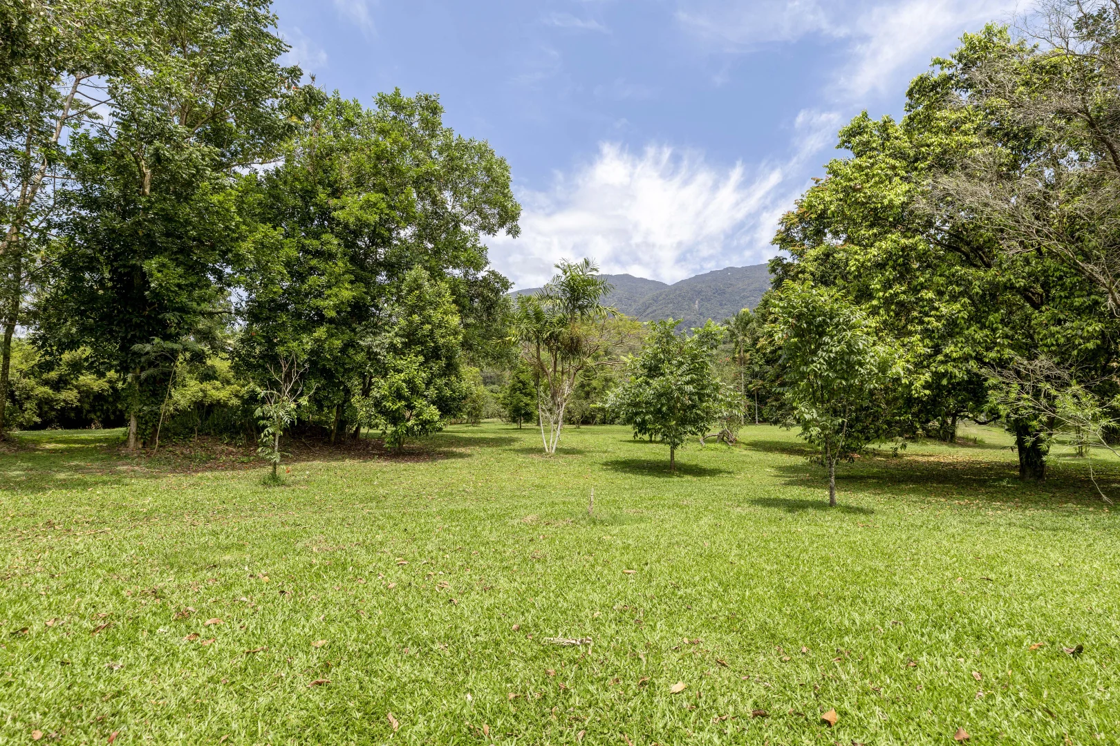 Additional image 31 of 516 Whyanbeel Road, Whyanbeel, Mossman QLD 4873