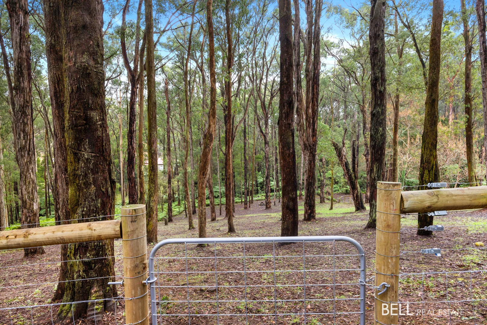 Additional image 11 of 15 Lyrebird Avenue, East Warburton VIC 3799