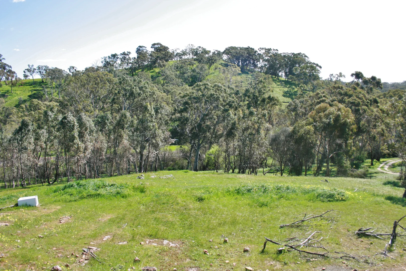 Additional image 4 of Lot 32 Horrocks Road, Penwortham SA 5453