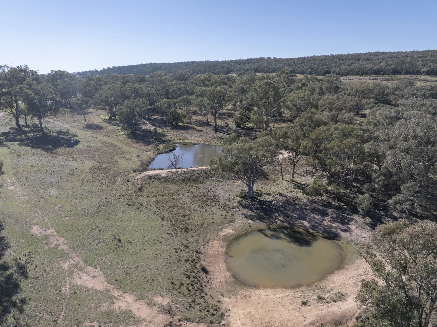 Additional image 21 of Garra Grange Lot 1 Garra Road, Molong NSW 2866