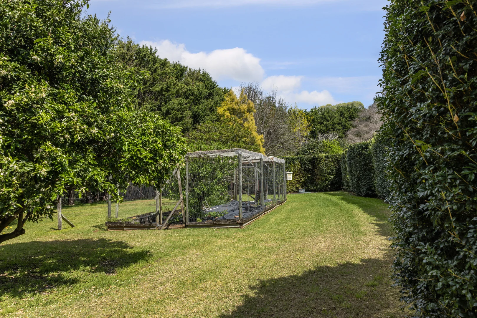 Additional image 21 of 220a Strongs Road, Jaspers Brush NSW 2535