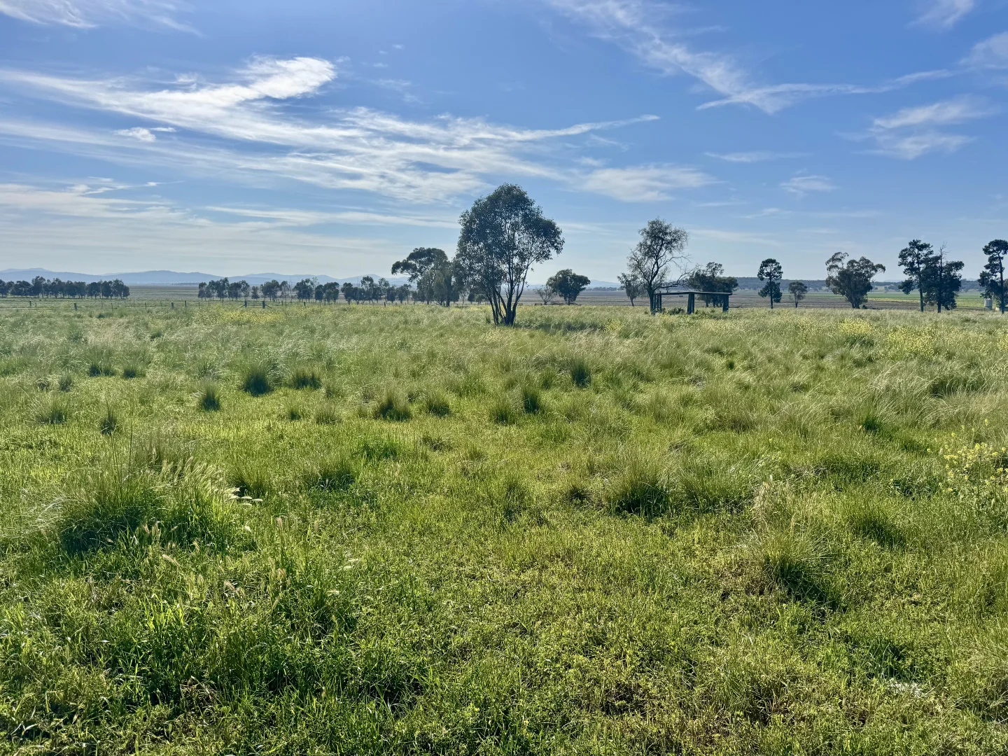 Additional image 8 of "Glenaladale" 167 Mooki Springs Road, Quirindi NSW 2343