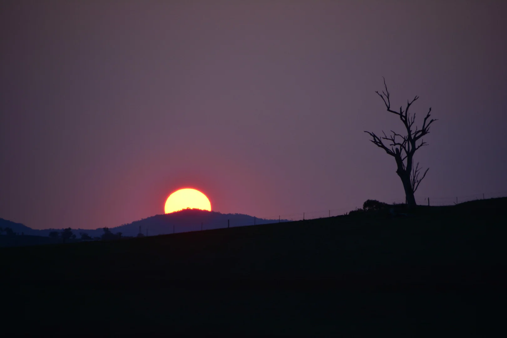 Additional image 21 of 322 Tongues Lane, Tamworth NSW 2340