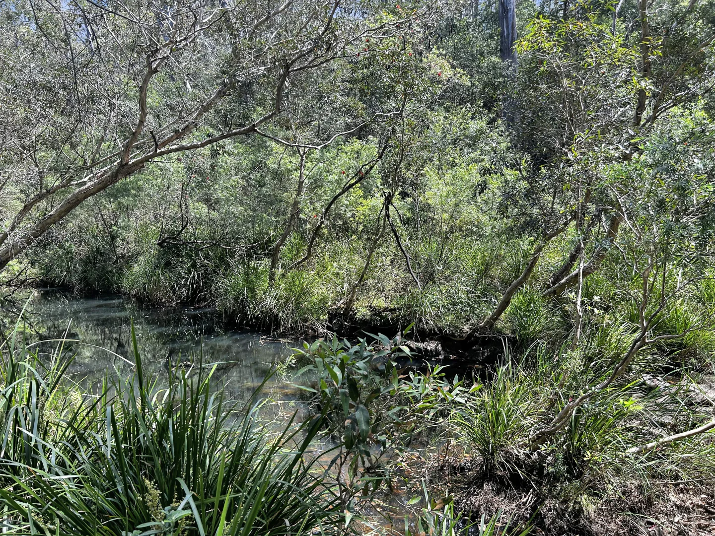 Additional image 33 of 4/62 Leslie Creek Road, Tabulam NSW 2469