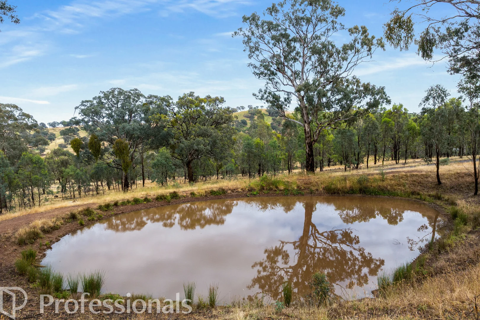 Additional image 20 of 363 Dicksons Lane, Orange NSW 2800