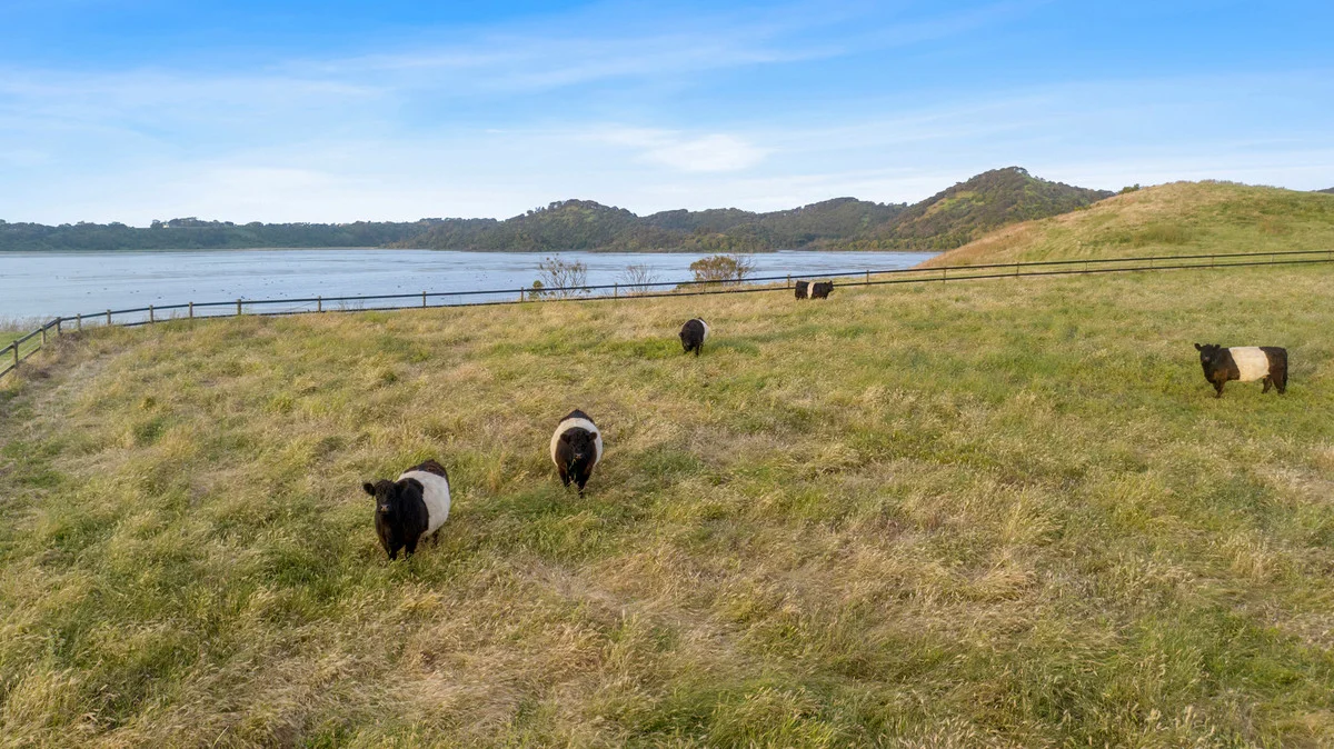 Additional image 20 of 920 Princes Highway, Tower Hill VIC 3283