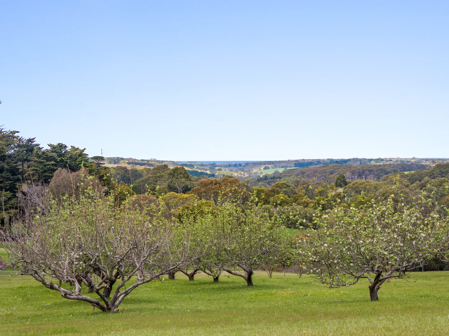 Additional image 4 of 10 Heath Lane, Arthurs Seat VIC 3936