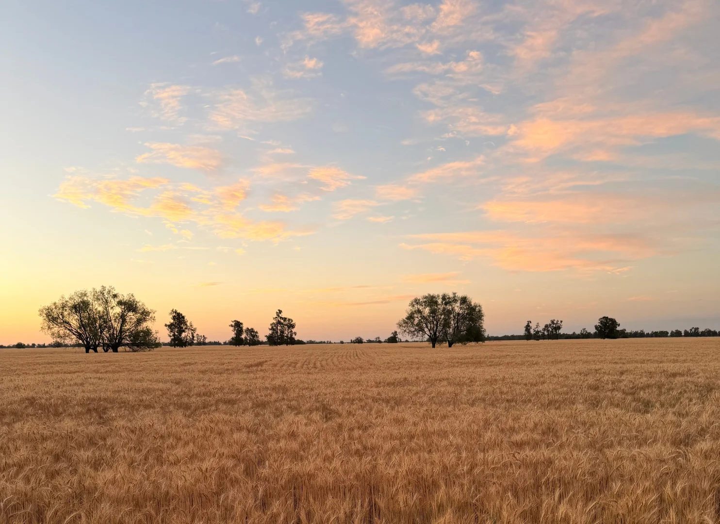 Additional image 6 of Buddabadah NSW 2825