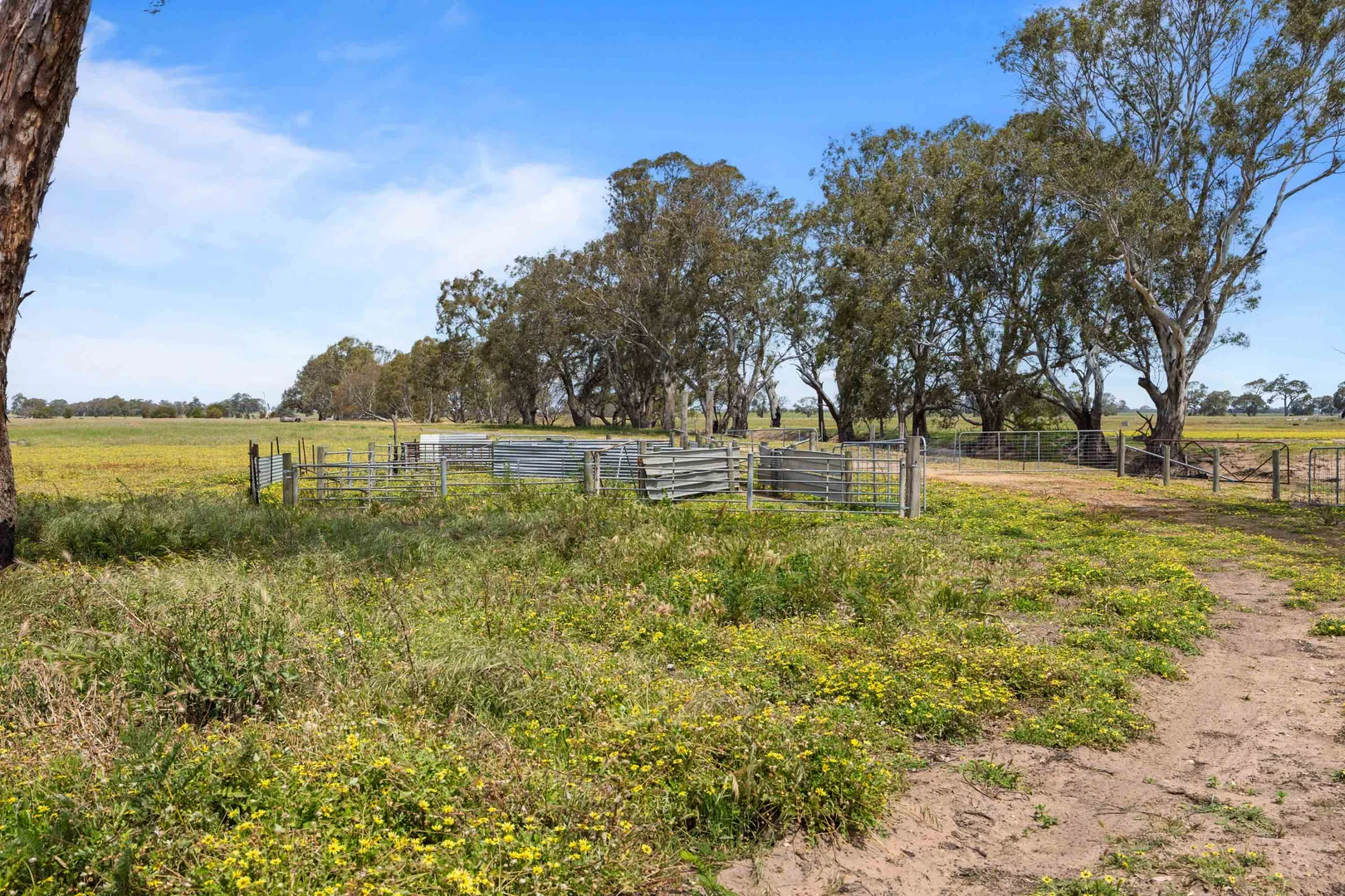 Additional image 16 of 46A & 46B Andrews Lane, Willaura North VIC 3379