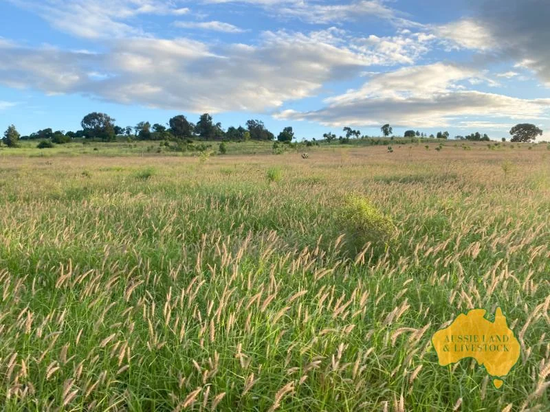 Additional image 9 of 474 Wigton Rd, Gayndah QLD 4625
