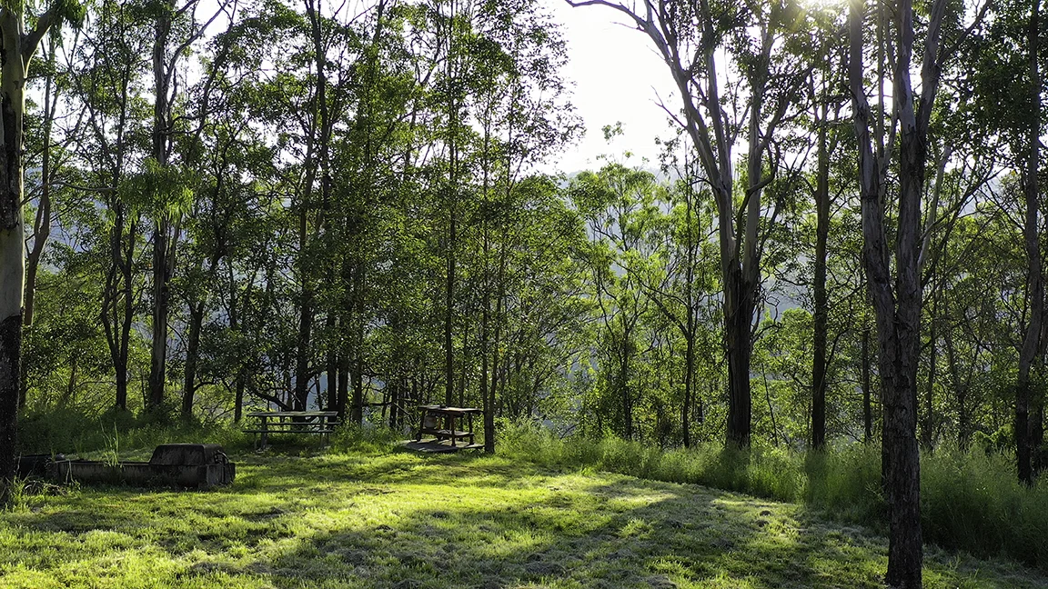 Additional image 33 of 783 Lamington National Park Road, Canungra QLD 4275