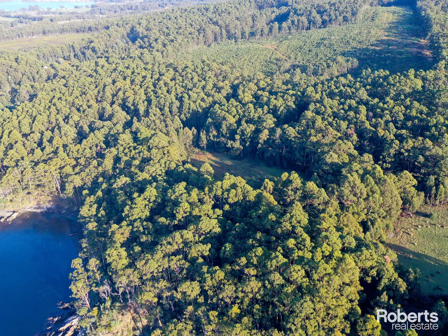Additional image 6 of Lot 1 Lady Bay Road, Southport TAS 7109