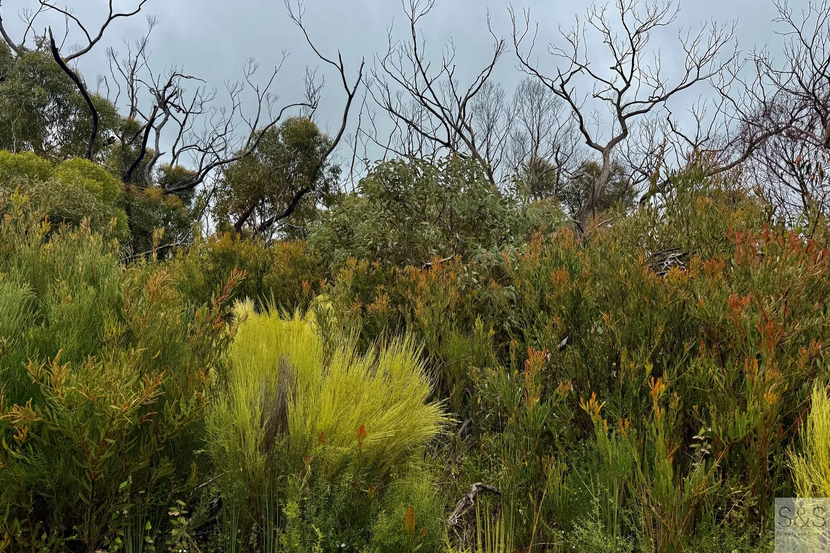 Additional image 21 of 678 Baxters Road, Karatta SA 5223