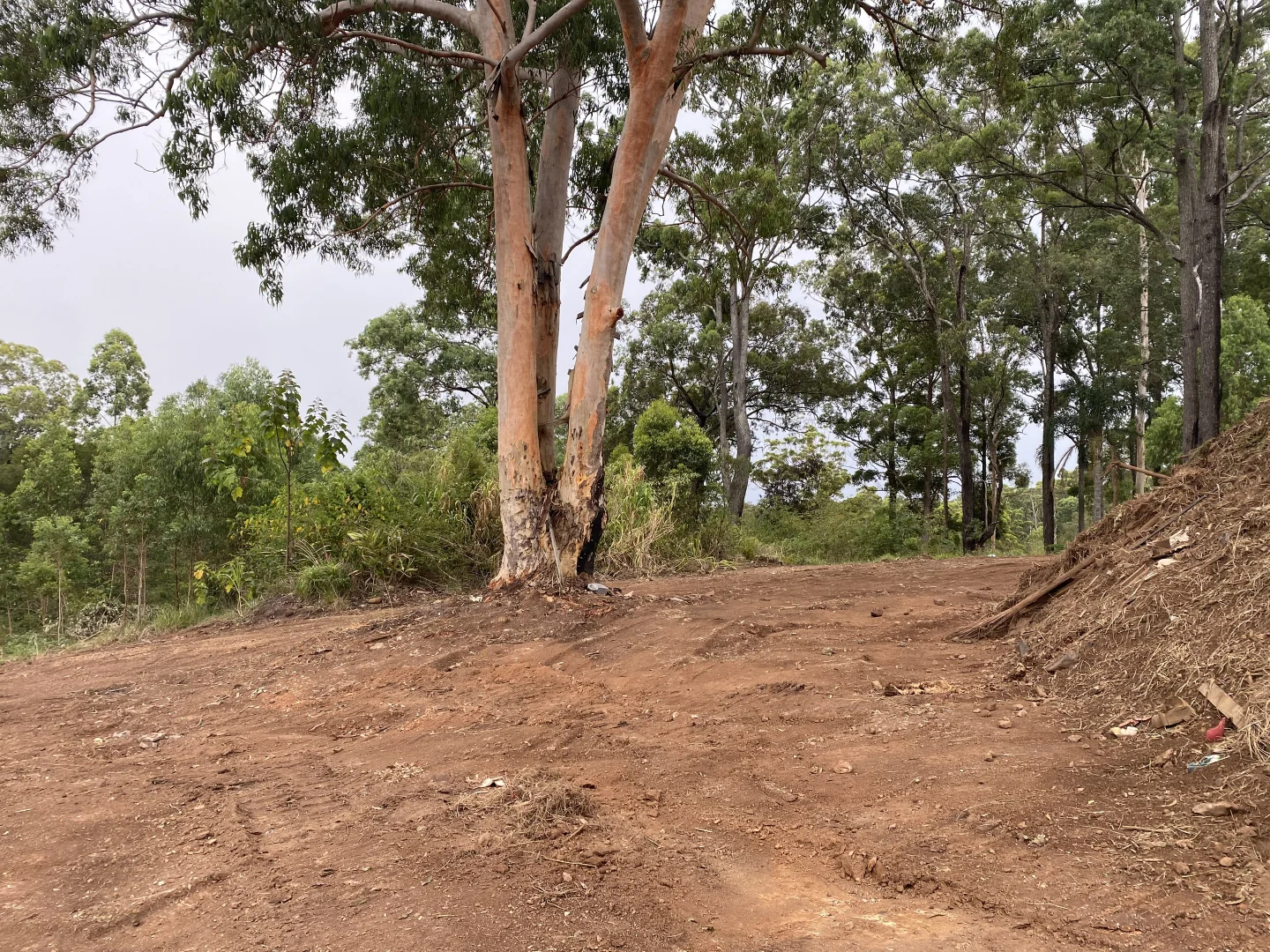 Additional image 4 of 184 Fords Road, Koorainghat NSW 2430