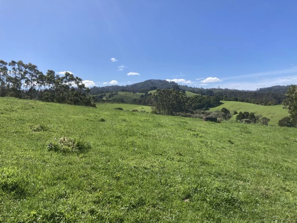 Additional image 7 of 465 Woomera Creek Rd, Toora North VIC 3962