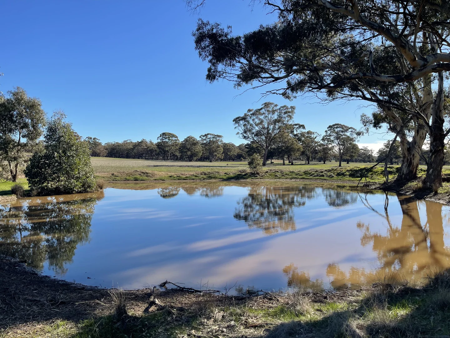 Additional image 21 of 54/54 Calder Highway, Wedderburn VIC 3518