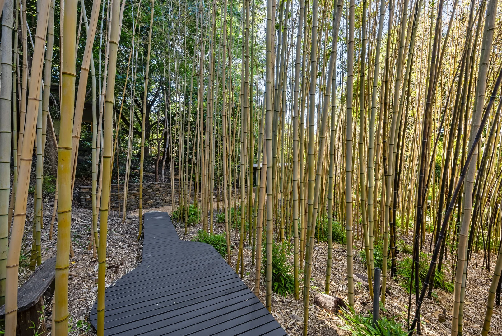 Additional image 59 of 15 Longwood Road, Stirling SA 5152