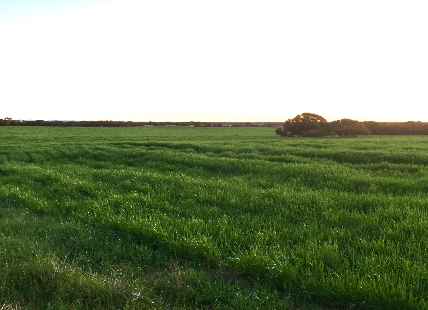 Additional image 9 of 163 McAskill Road, Karkoo SA 5632