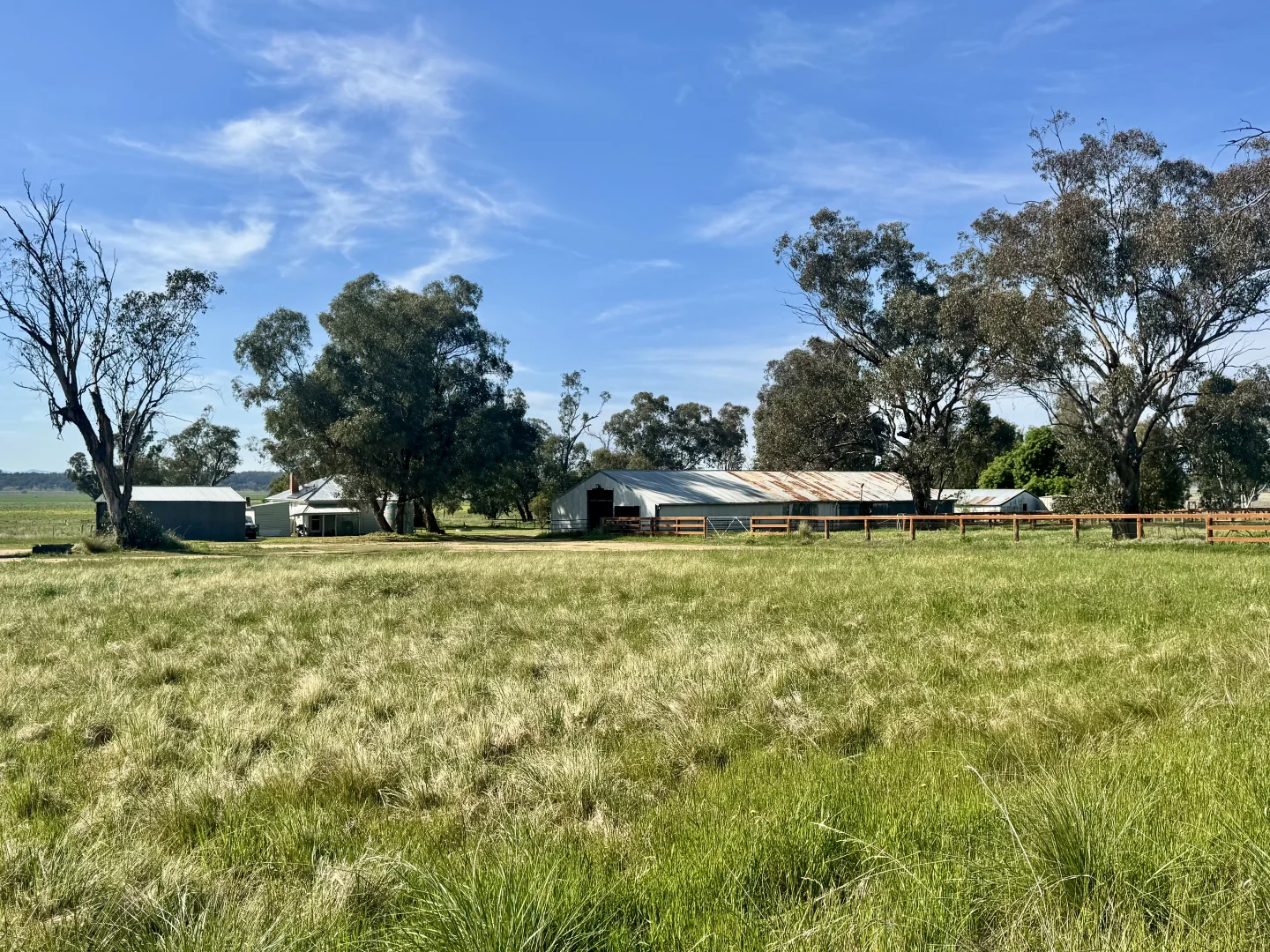 Additional image 10 of "Glenaladale" 167 Mooki Springs Road, Quirindi NSW 2343