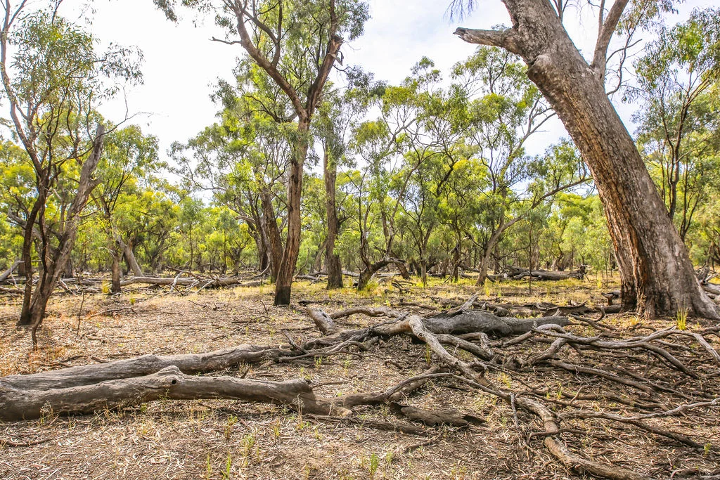 Additional image 15 of Lot 19, 20, 23 & 24 - 650 Yarraman Road, Moama NSW 2731