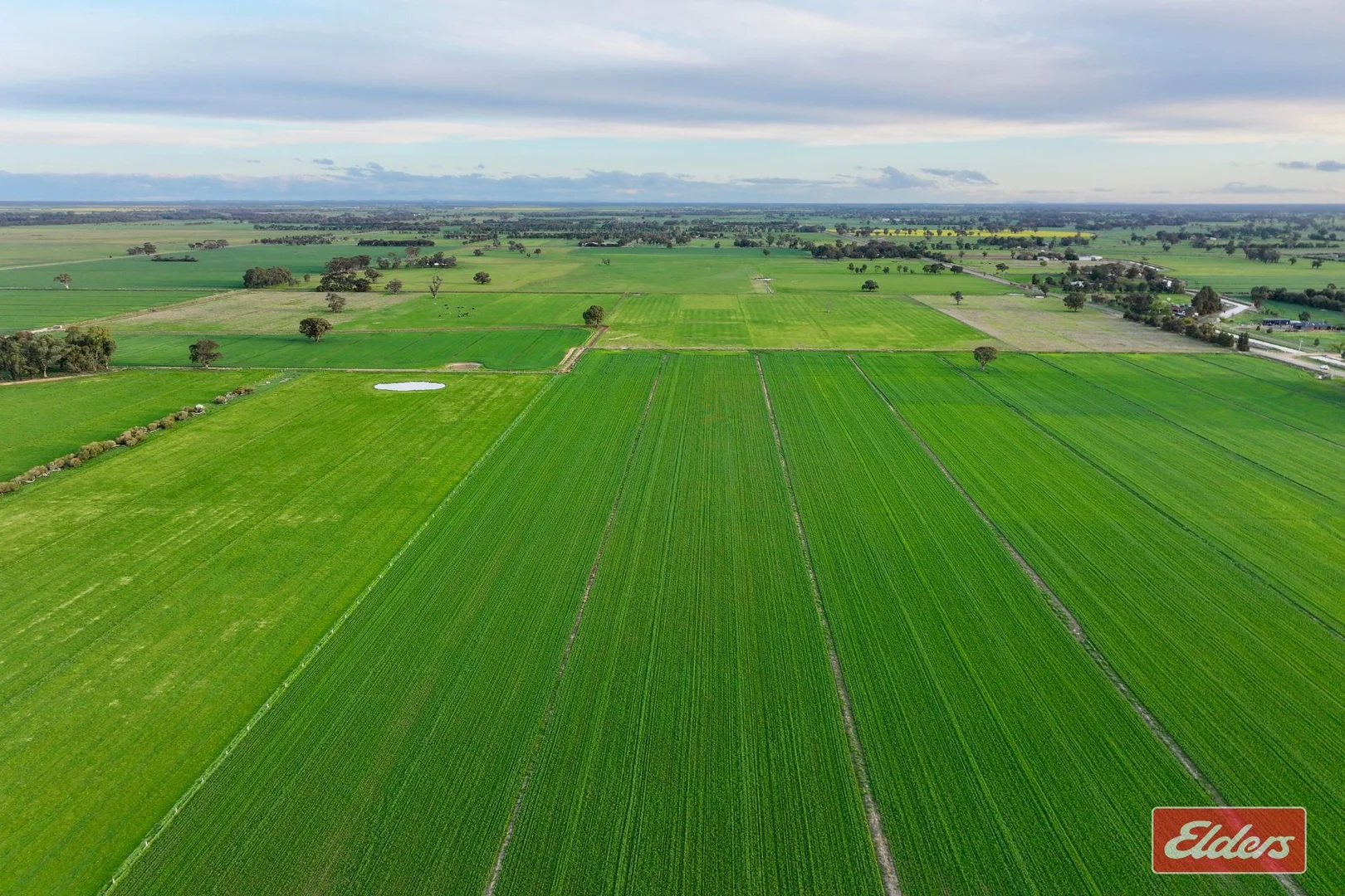 Additional image 16 of 821 Echuca West School Road, Echuca VIC 3564