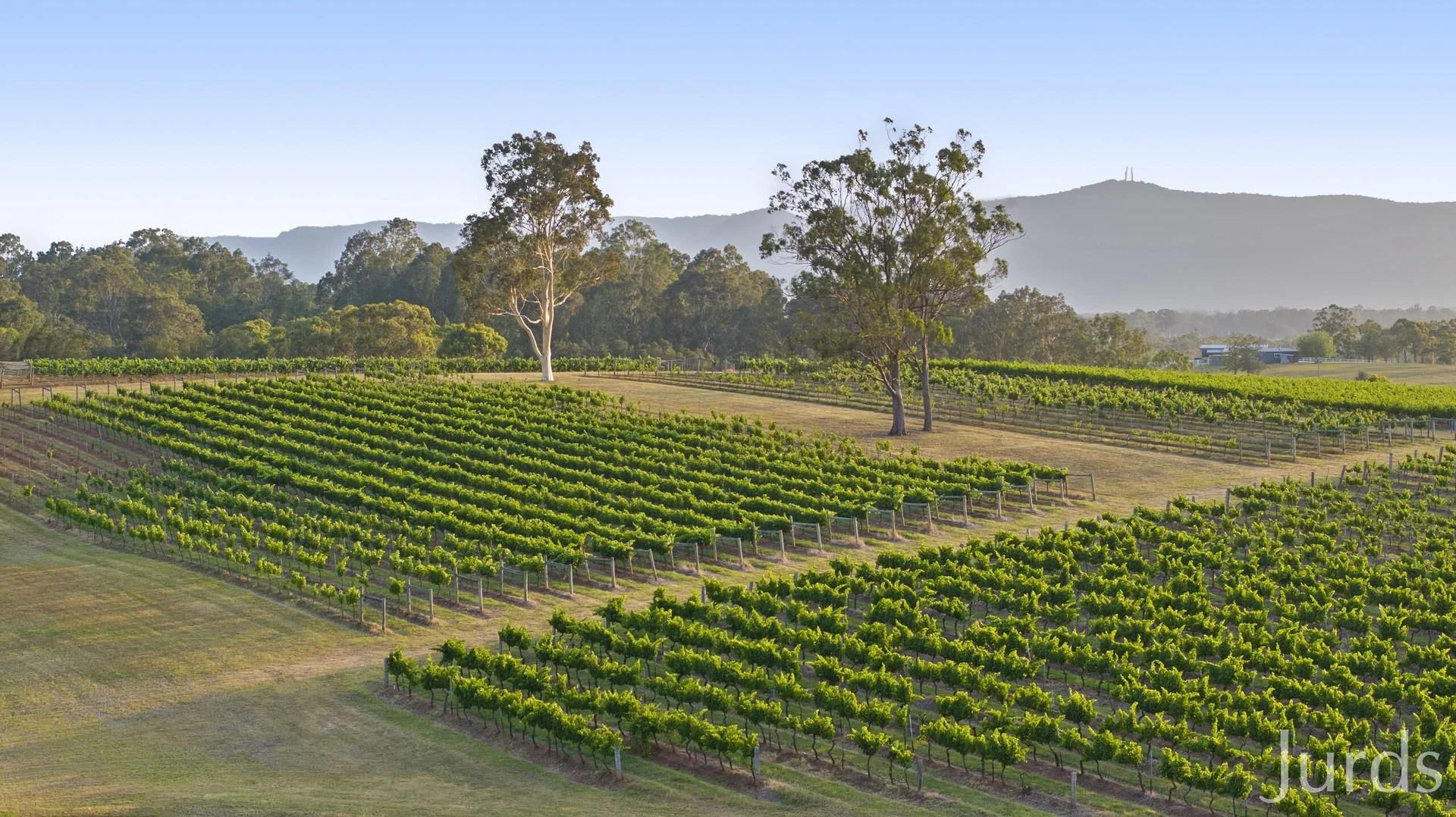 Additional image 36 of 110 Old North Road, Pokolbin NSW 2320