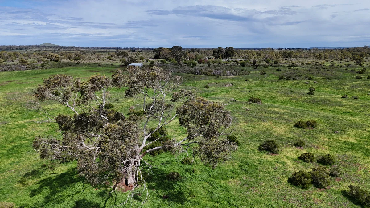 Additional image 23 of 220 Harlocks Road, Pomborneit North VIC 3260