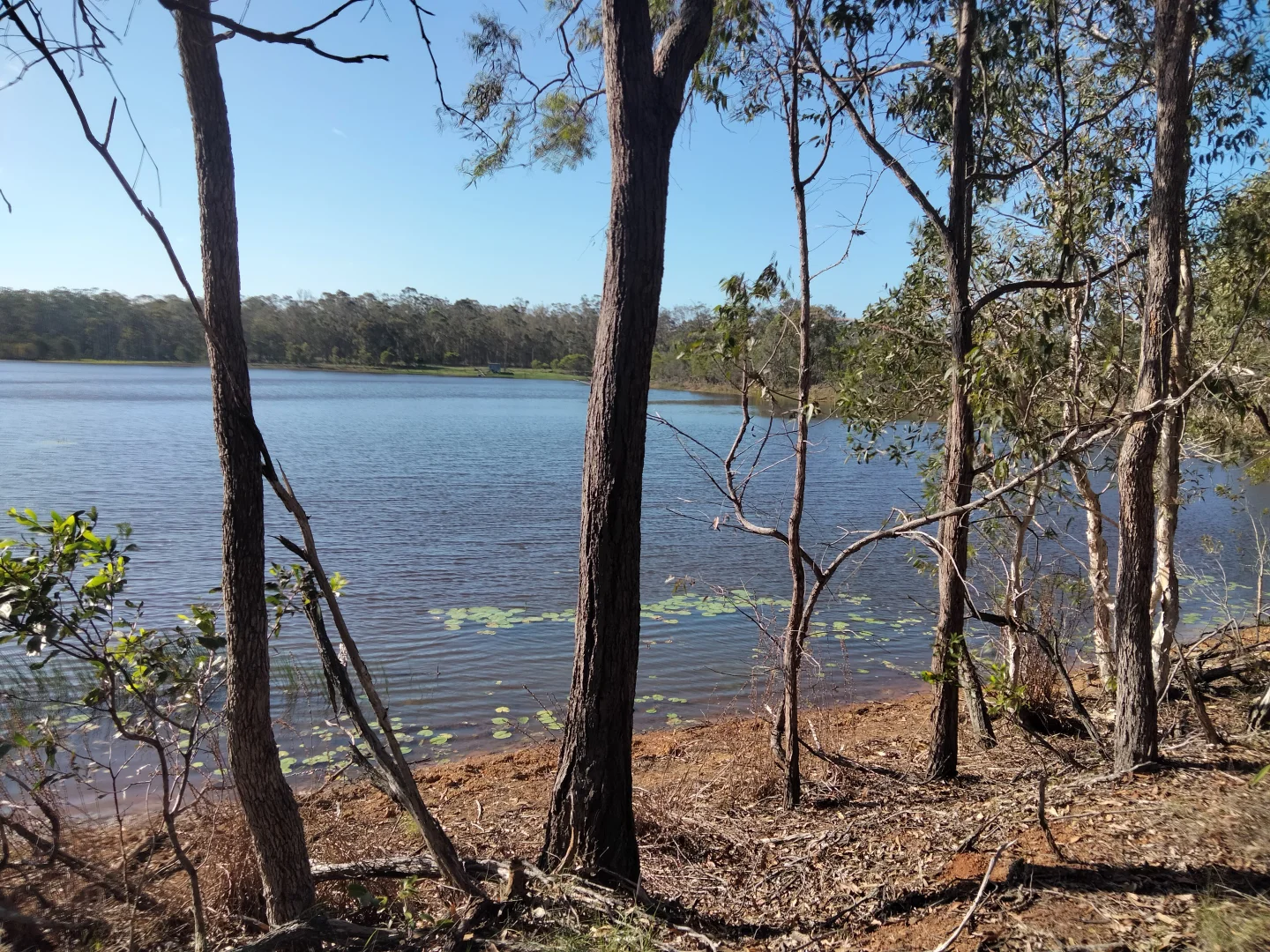 Additional image 69 of 2913 Rosedale Road, Yandaran QLD 4673