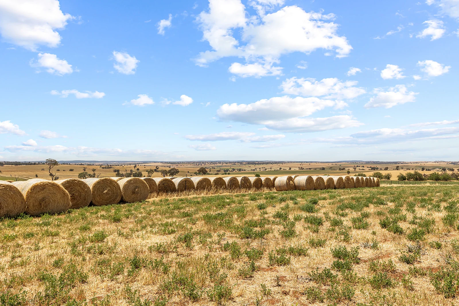 Additional image 23 of 215 Holman Road, Murrumburrah NSW 2587