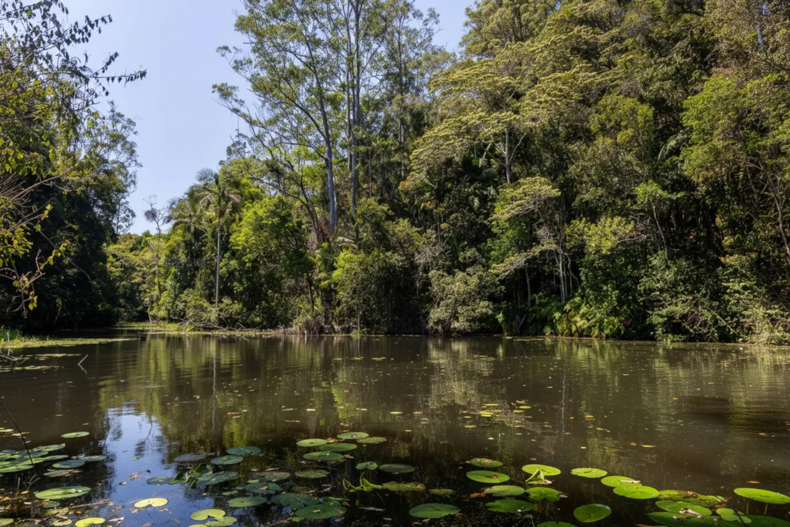 Additional image 14 of 62 Carroo Lane, Ridgewood QLD 4563