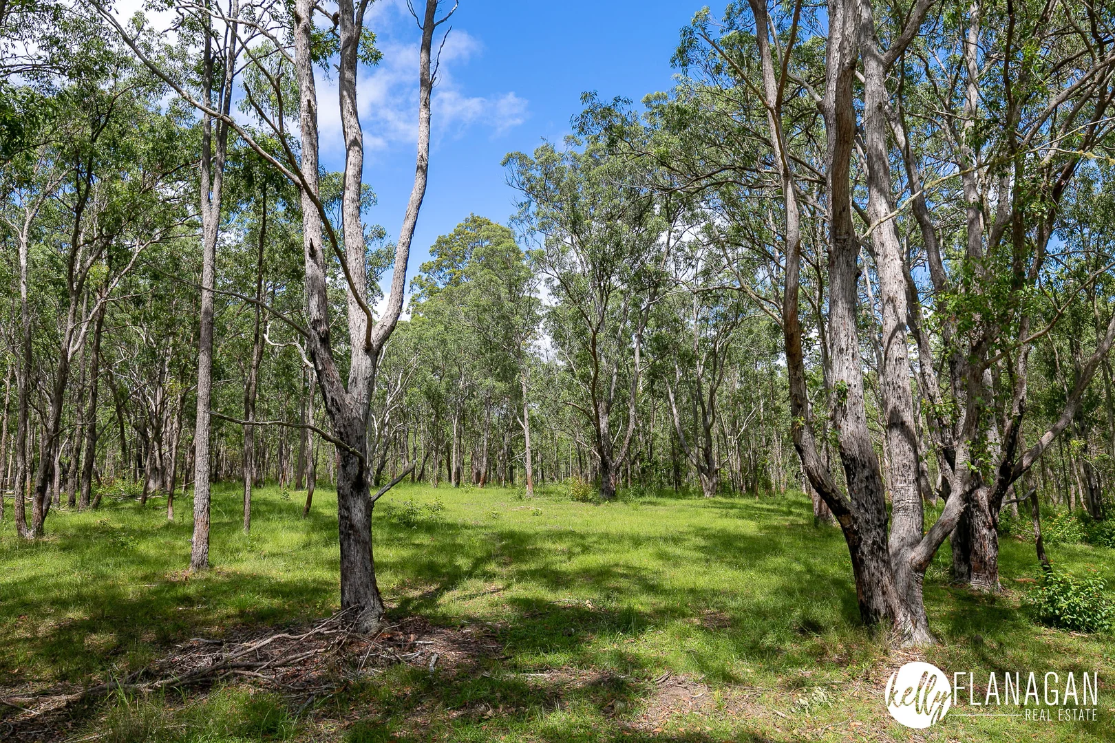 Additional image 23 of 130 Silverwood Avenue, Temagog NSW 2440