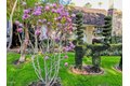 Additional image 3 of 2156 El Molino Pl, San Marino, CA, 91108