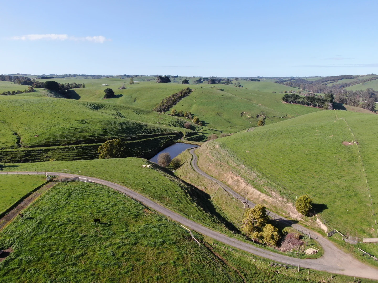 Additional image 8 of Beckett Street, Poowong VIC 3988