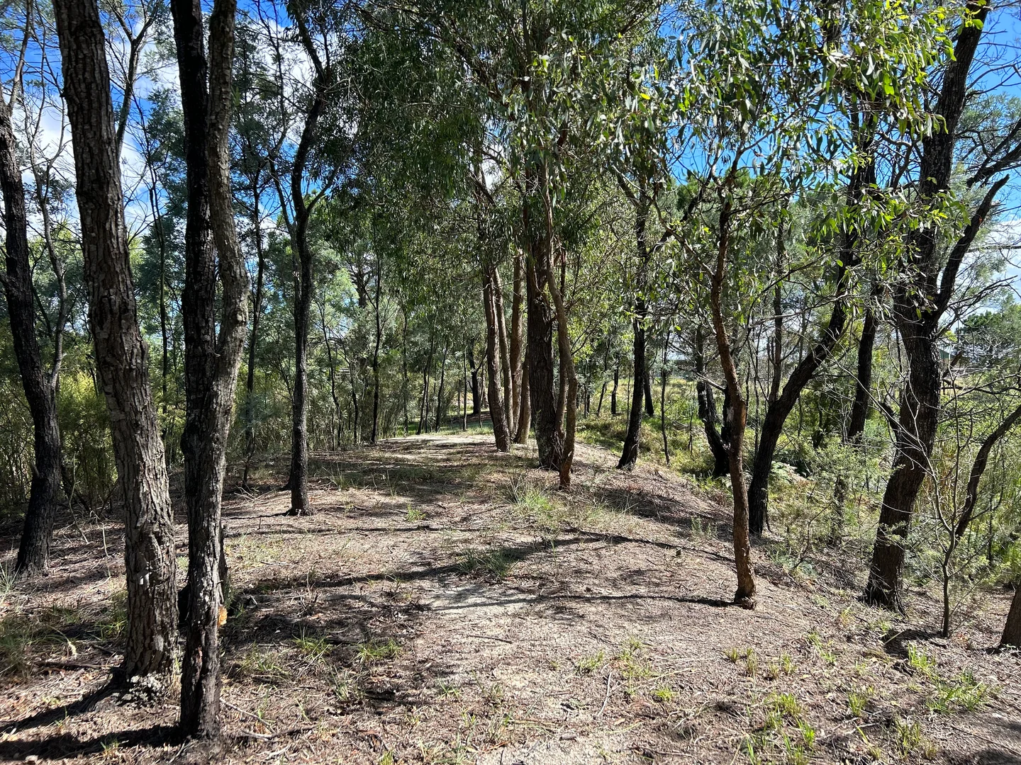 Additional image 24 of 249 Granite Belt Dve, Thulimbah QLD 4376