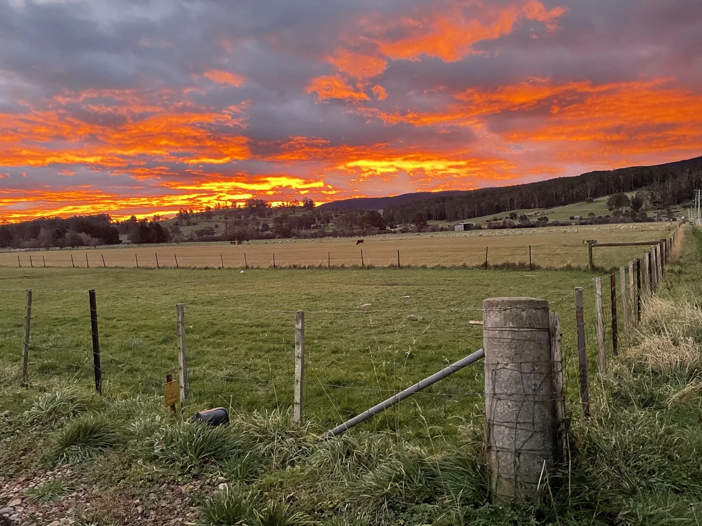 Additional image 28 of 60 Sorell Street, Chudleigh TAS 7304