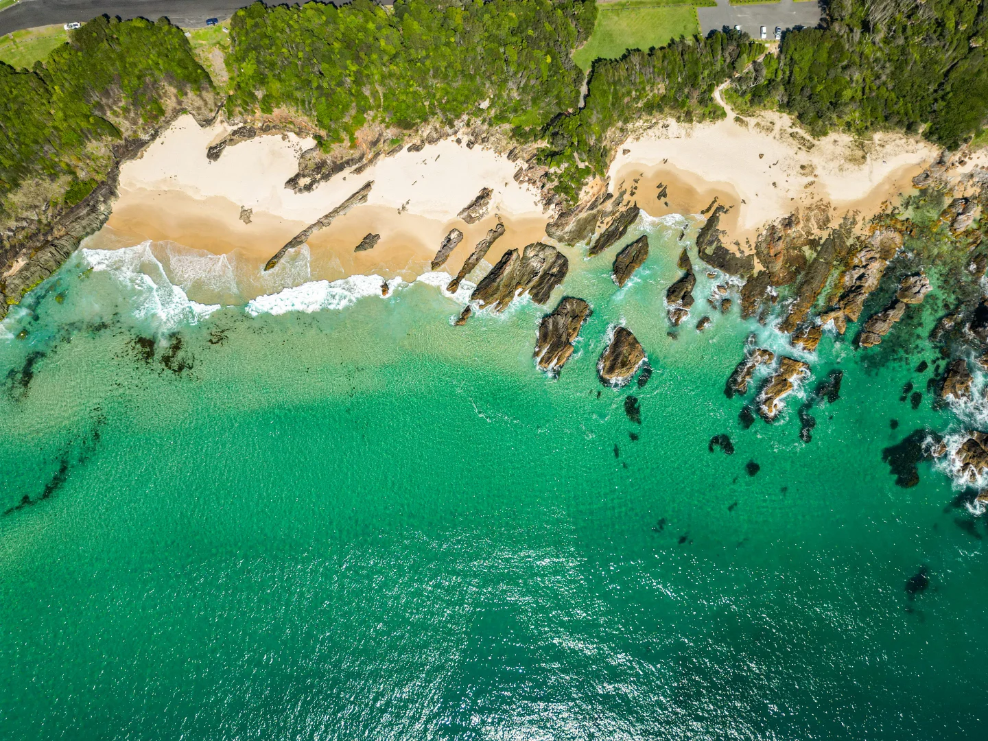 Additional image 9 of 7 Limestone Crescent, Forster NSW 2428