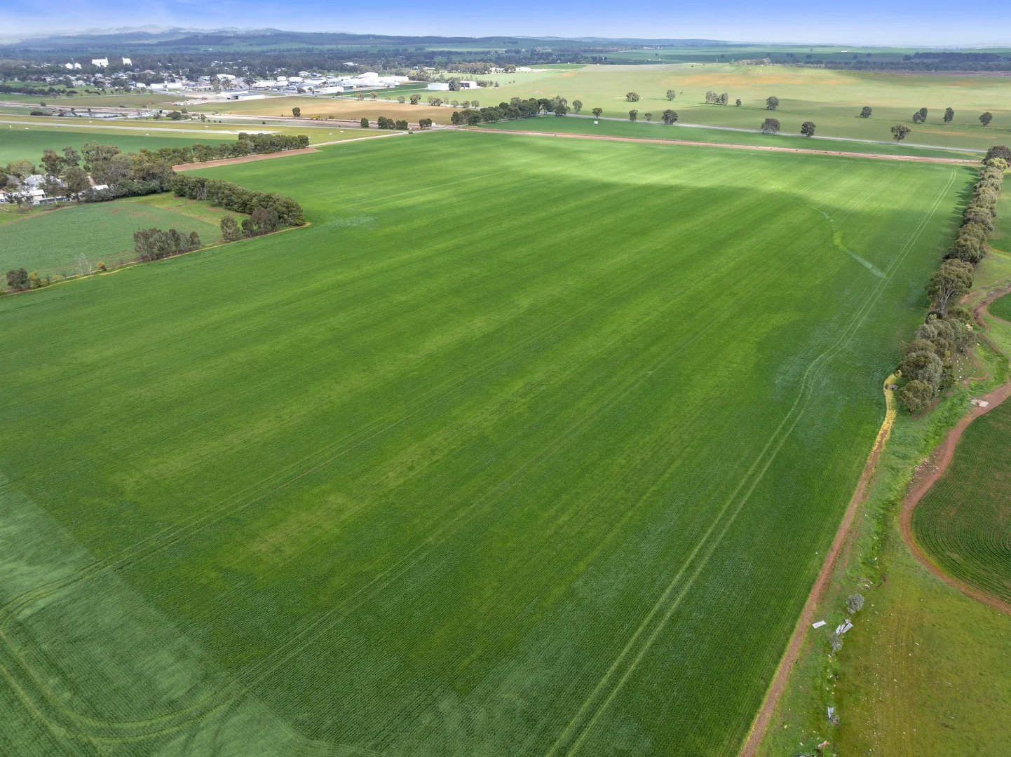 Additional image 6 of 'Hamilton Run Farm' Murchland Drive, Jamestown SA 5491