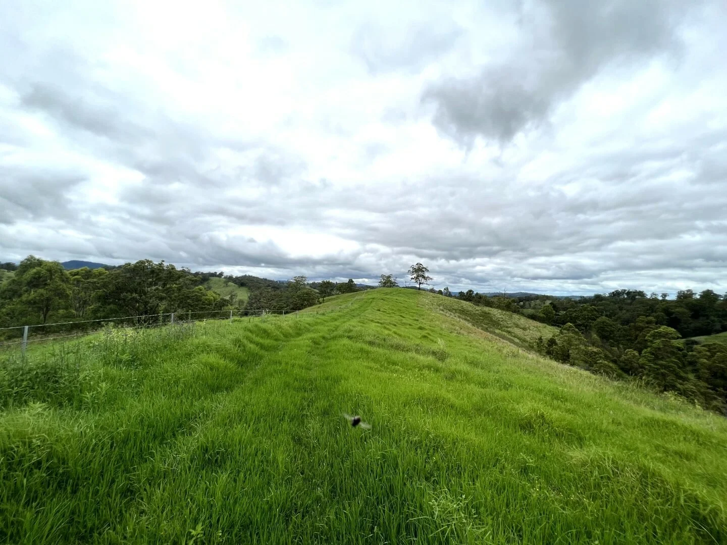 Additional image 40 of 59 Wyndham Road, Wyneden NSW 2474