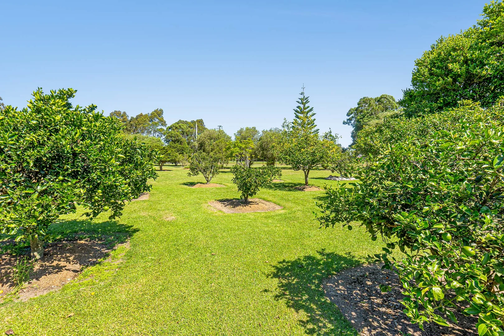 Additional image 21 of 11A Glenduart Grove, Moruya NSW 2537