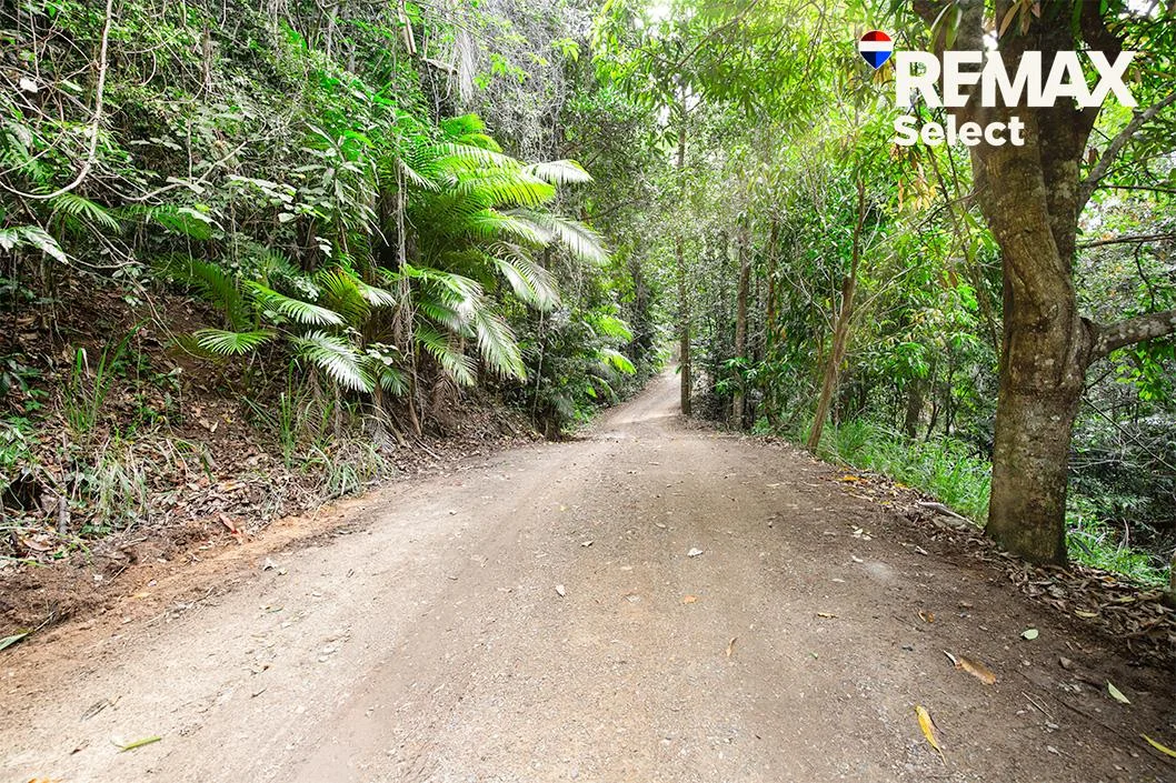 Additional image 22 of 177 Harris Road, Owens Creek QLD 4741