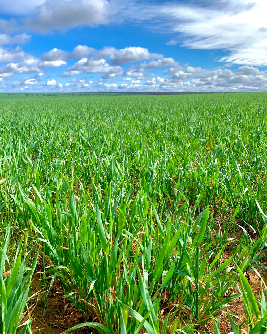 Additional image 8 of 2944 OTC Road, Wandana SA 5690