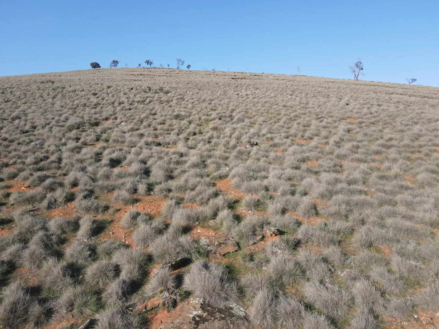 Additional image 17 of 274E Melrose Road, Pekina SA 5431