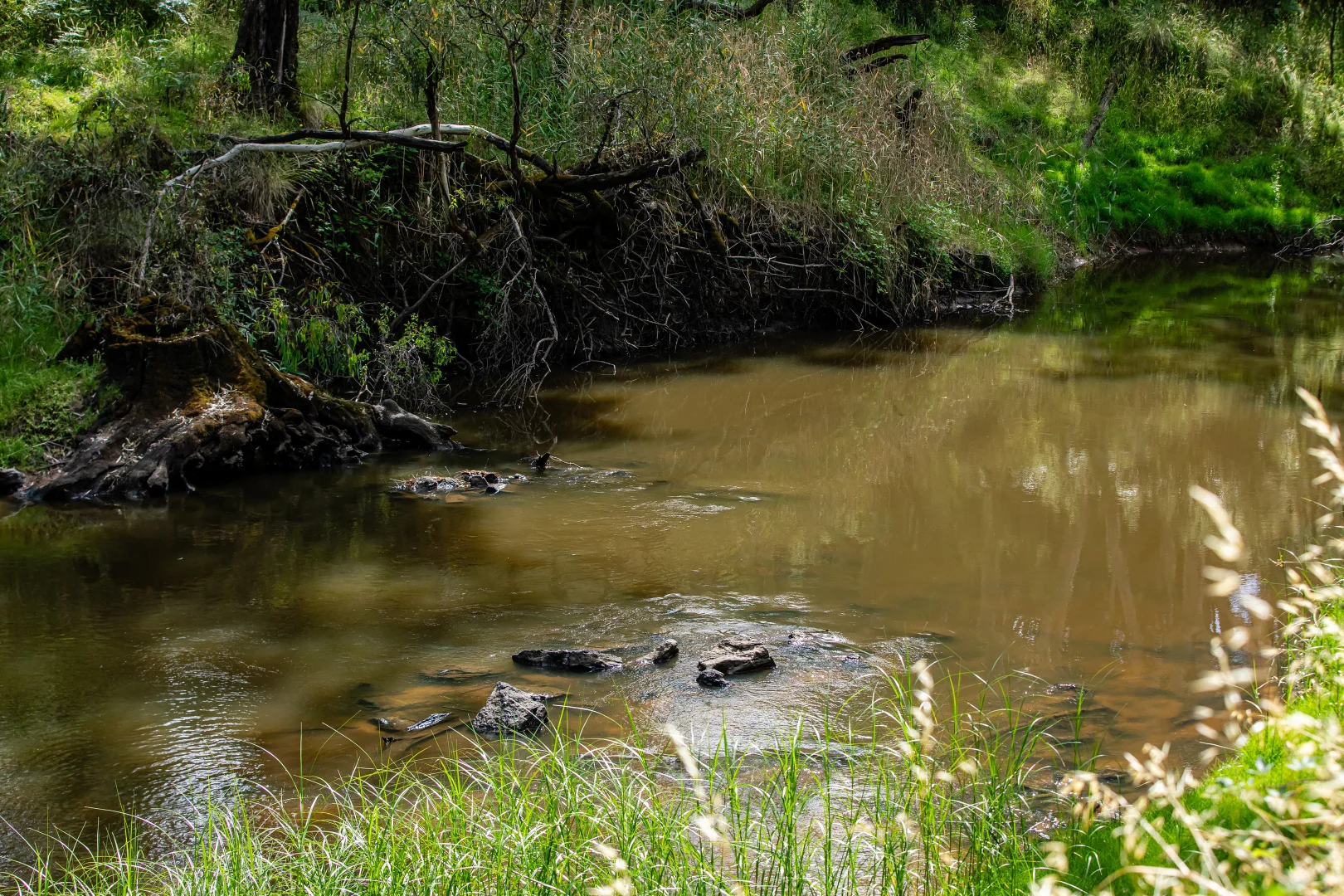 Additional image 22 of 93 The Bluff Road, Casterton VIC 3311