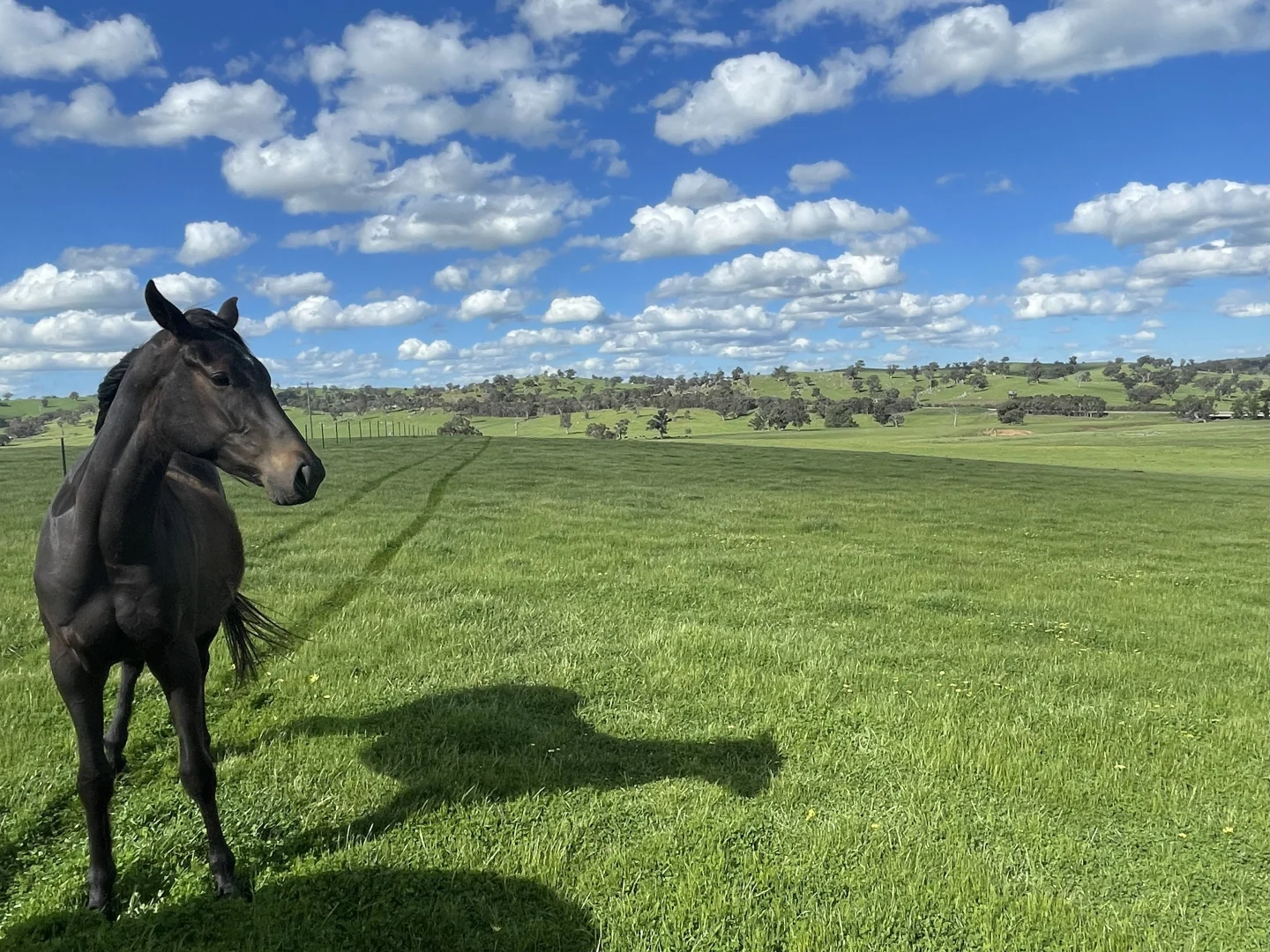 Additional image 4 of Lot 70 Cooney's Creek Road, Jugiong NSW 2726