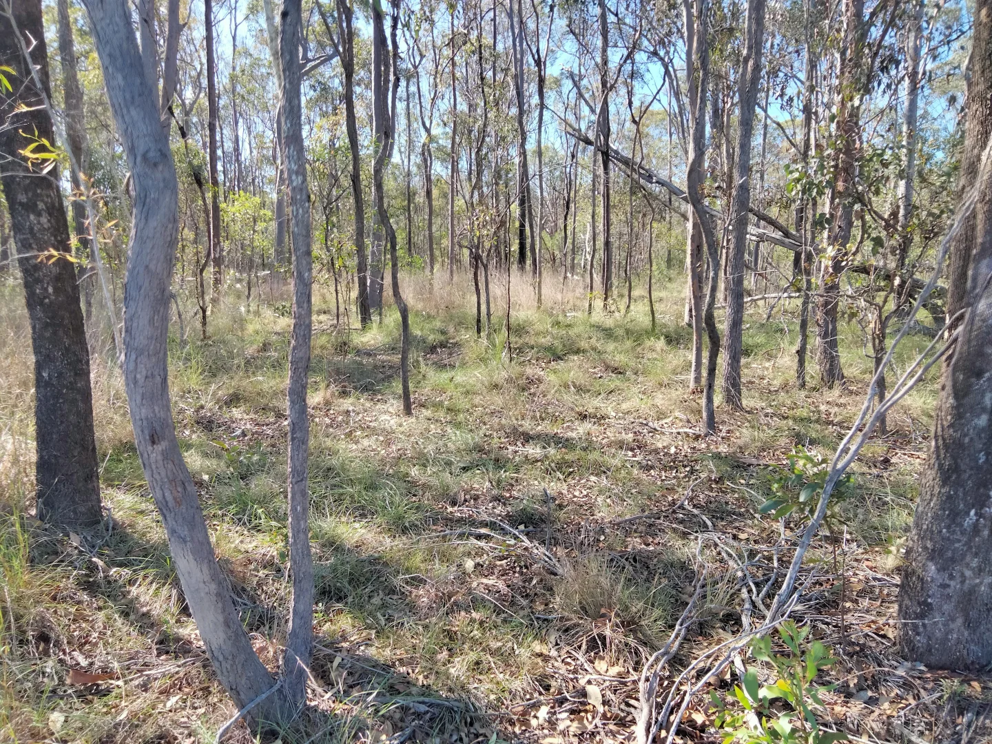 Additional image 66 of 2913 Rosedale Road, Yandaran QLD 4673