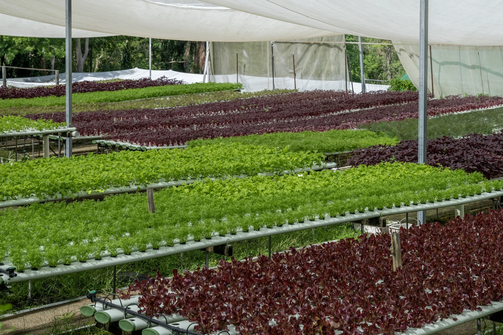 Additional image 38 of 44 Glen Nathan Court, Mount Nathan QLD 4211