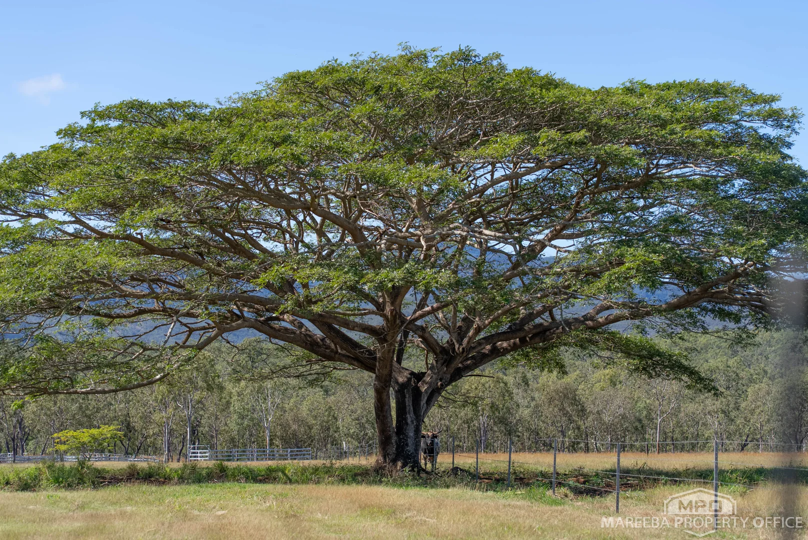 Additional image 45 of 76 Davies Creek Road, Mareeba QLD 4880