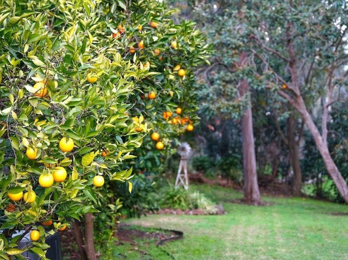 Additional image 16 of 102 The Boulevard, Shepparton VIC 3630