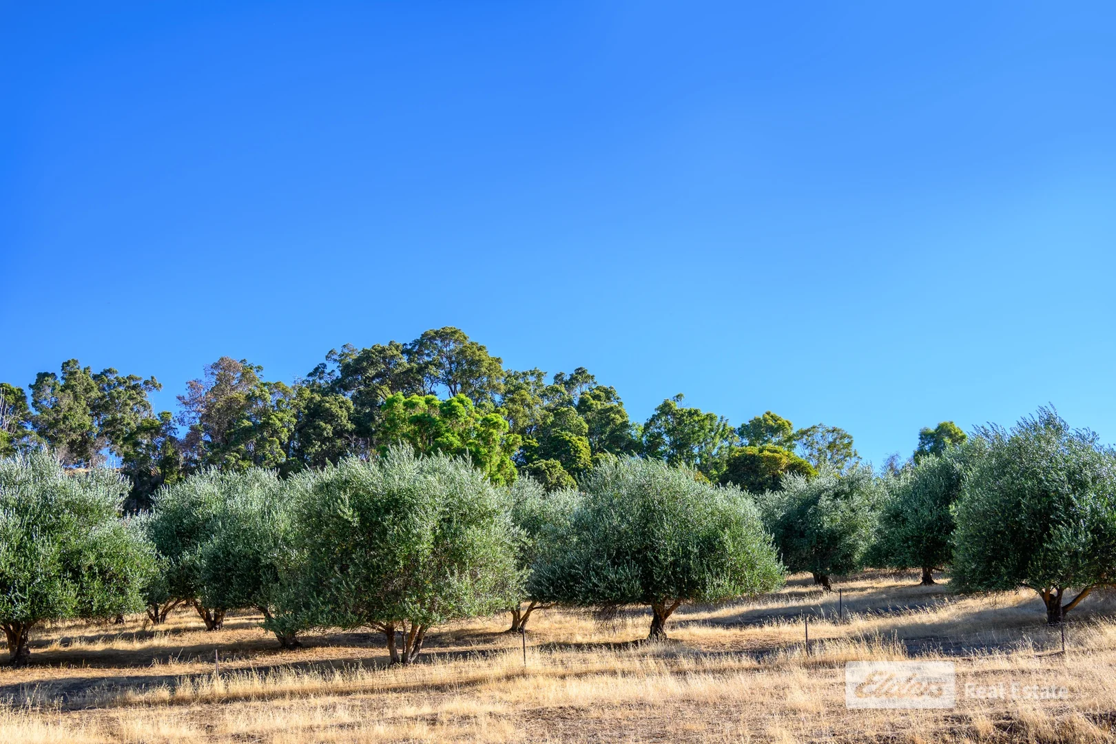 Additional image 40 of 93 Balingup-Nannup Road, Balingup WA 6253